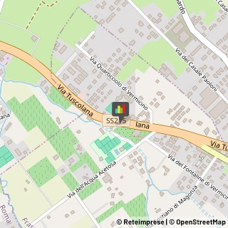 Fisiokinesiterapia - Medici Specialisti Frascati,00044Roma