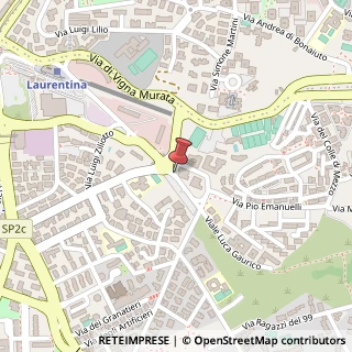 Mappa Via Luca Gaurico, 9/11, 00143 Roma, Roma (Lazio)