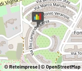 Trasporti Aerei,00143Roma