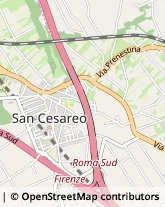 Via delle palme, 17,00030San Cesareo