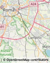 Aziende Sanitarie Locali (ASL) Ciampino,00043Roma