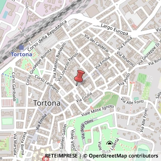 Mappa Via Emilia, 207, 15057 Tortona, Alessandria (Piemonte)