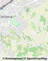 Aziende Agricole Tortona,15057Alessandria