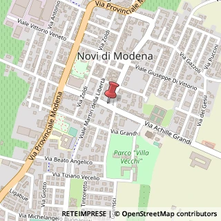 Mappa Via Medaglie d'Oro, 24, 41016 Novi di Modena, Modena (Emilia Romagna)