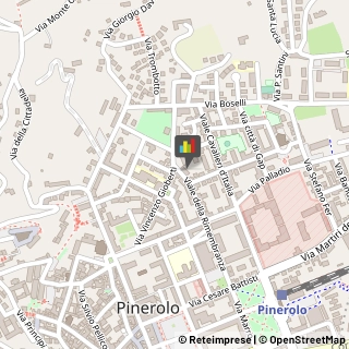 Articoli Sportivi - Dettaglio Pinerolo,10064Torino