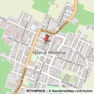 Mappa Via Canzio Zoldi, 7, 41016 Novi di Modena, Modena (Emilia Romagna)
