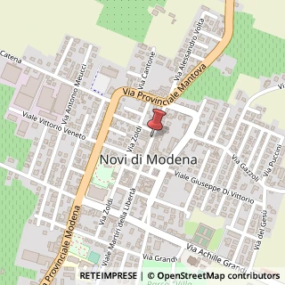 Mappa Corso marconi 52, 41016 Novi di Modena, Modena (Emilia Romagna)