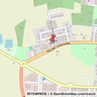 Mappa Via Adelaide Bono, 14, 41037 Mirandola, Modena (Emilia Romagna)