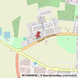 Mappa Via per Concordia, 20, 41037 Mirandola, Modena (Emilia Romagna)