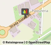 Autoveicoli Usati,45030Rovigo