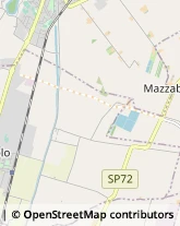 Aziende Agricole Torrile,43056Parma