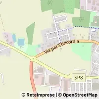 Carte Mirandola