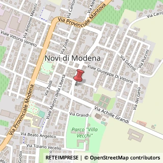 Mappa Via Fratelli Rosselli, 29, 41016 Novi di Modena, Modena (Emilia Romagna)