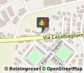 Imprese di Pulizia,15121Alessandria