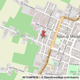 Mappa Via Antonio Meucci, 17, 41016 Novi di Modena, Modena (Emilia Romagna)