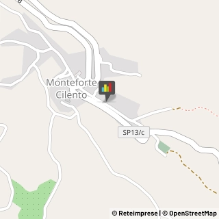 Aziende Agricole Monteforte Cilento,84060Salerno