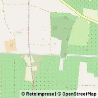 Carte Avetrana