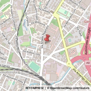 Mappa Via A. Pegoraro, 18, 21013 Gallarate, Varese (Lombardia)