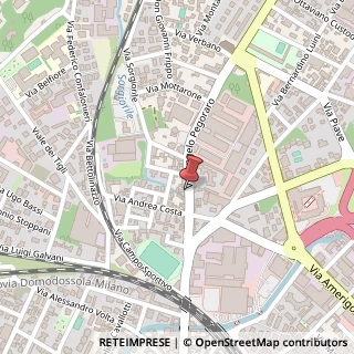 Mappa Via A. Pegoraro, 13, 21013 Gallarate, Varese (Lombardia)