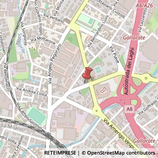 Mappa Viale Vittorio Veneto, 5, 21013 Gallarate, Varese (Lombardia)