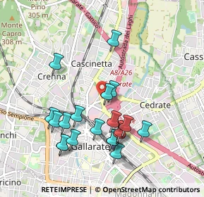 Mappa Via Raffaello Sanzio, 21013 Gallarate VA, Italia (0.9425)