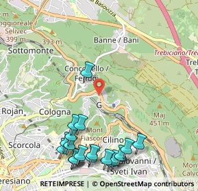 Mappa Strada Nuova per Opicina, 34127 Trieste TS, Italia (1.3325)