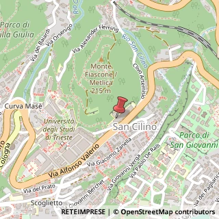 Mappa Via Licio Giorgieri, 1, 34127 Trieste, Trieste (Friuli-Venezia Giulia)