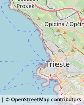 Rosticcerie e Salumerie Trieste,34016Trieste