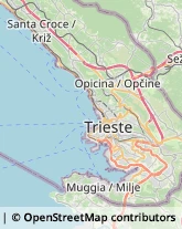 Rosticcerie e Salumerie Muggia,34015Trieste