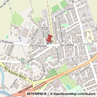 Mappa Via Postumia, 21, 31057 Silea, Treviso (Veneto)