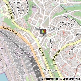 Ottica, Occhiali e Lenti a Contatto - Dettaglio,34135Trieste