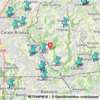 Mappa 20844 Triuggio MB, Italia (3.133)