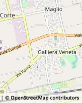 Frutta e Verdura - Dettaglio Galliera Veneta,35015Padova