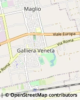 Autotrasporti Galliera Veneta,35015Padova