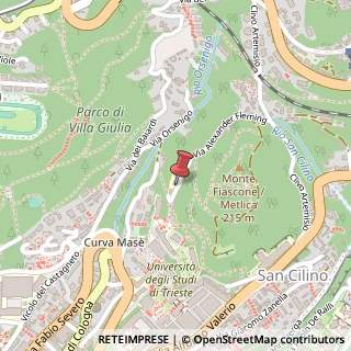 Mappa Via Alexander Fleming, 31, 34127 Trieste, Trieste (Friuli-Venezia Giulia)