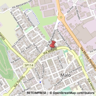 Mappa Via Milano,  34, 36034 Malo, Vicenza (Veneto)