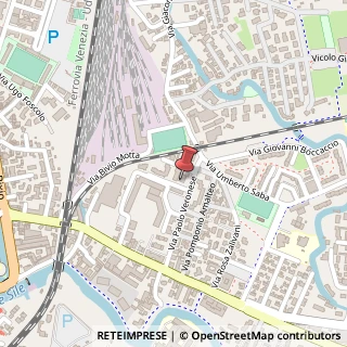 Mappa Vicolo Paolo Veronese, 2, 31100 Treviso, Treviso (Veneto)