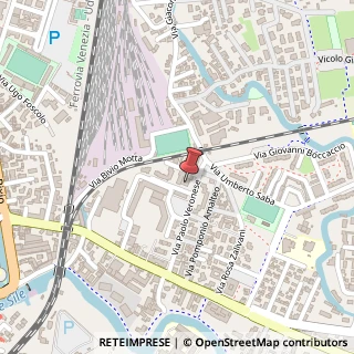 Mappa Vicolo Paolo Veronese, 4, 31100 Treviso, Treviso (Veneto)