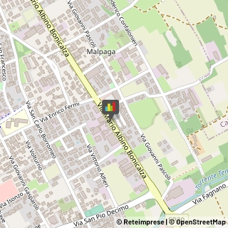 Piante e Fiori - Dettaglio,21012Varese