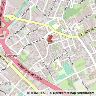 Mappa Via Antonio Canova,  8, 21013 Gallarate, Varese (Lombardia)