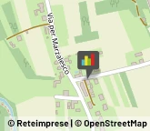 Palestre e Centri Fitness Cureggio,28060Novara