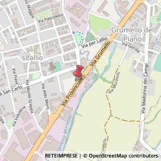 Mappa Via Provinciale, 6, 24040 Lallio, Bergamo (Lombardia)