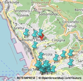 Mappa Via Sara Davis, 34135 Trieste TS, Italia (1.25053)