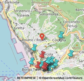 Mappa Via Sara Davis, 34135 Trieste TS, Italia (1.299)