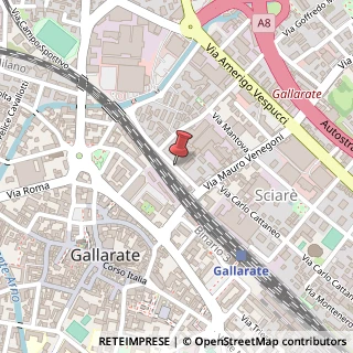 Mappa Via Curioni Angelo, 10, 21013 Gallarate, Varese (Lombardia)