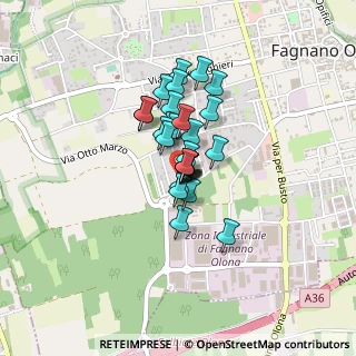 Mappa Via A. Castiglioni, 21054 Fagnano Olona VA, Italia (0.23214)