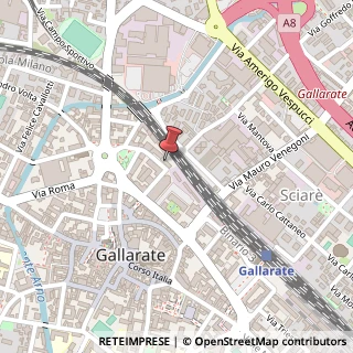 Mappa Via Gian Pietro Puricelli, 5, 21013 Gallarate, Varese (Lombardia)