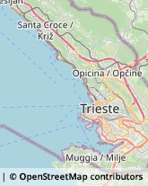 Partiti e Movimenti Politici Muggia,34015Trieste