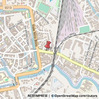 Mappa Viale IV Novembre, 17, 31100 Treviso, Treviso (Veneto)