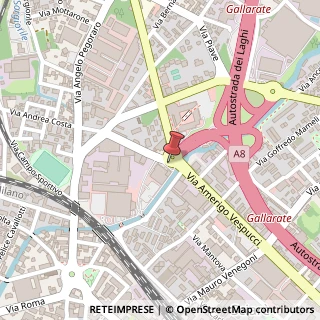Mappa Via Luigi Riva,  21, 21013 Gallarate, Varese (Lombardia)